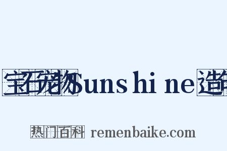 宝石宠物Sunshine造句是什么意思的图片